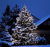 advent