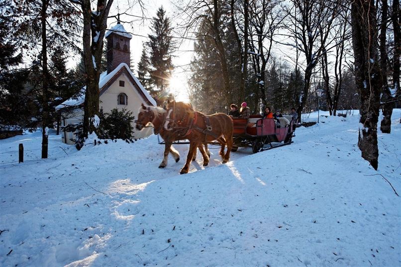 Kutsche im Winter