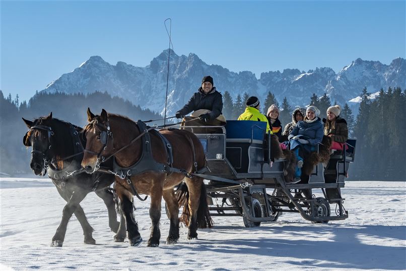 Kutsche WInter