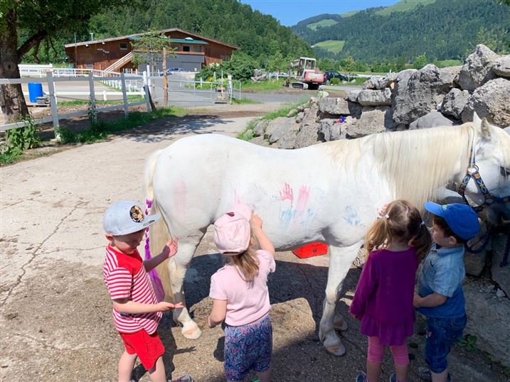Ponyclub