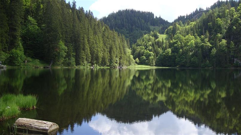 Taubensee