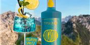 Gin