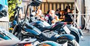 Harley Treffen