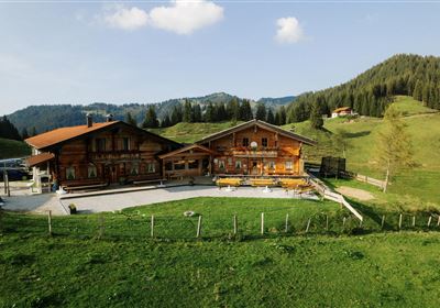 Creative Summer Workshop - Adventure Alm