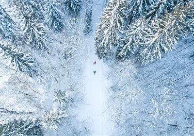 2-Tages-Langlaufkurs Classic