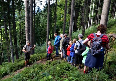 Creative Summer Workshop - Family on the Prowl