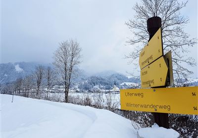 Geführte Wanderung von Kössen nach Schwendt und zurück