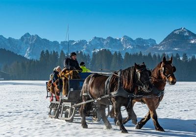 Christkindl Kutschenfahrt