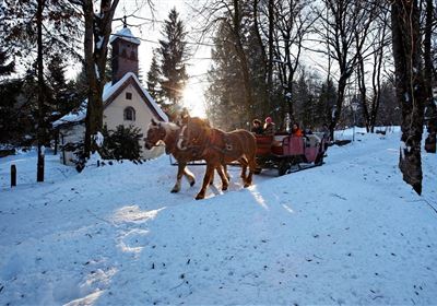 Horse-drawn carriage ride 