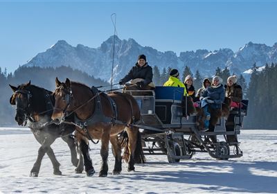 Horse drawn carriage