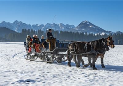 With Ross & Schnaps through the winter adventure – carriage ride, distillery & campfire
