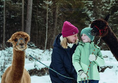 Kreative Winterwerkstätte " Winterwanderung mit Alpakas und Lamas
