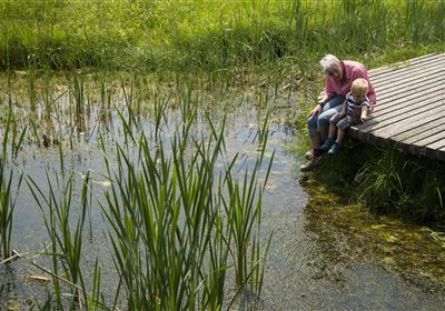 Creative Summer Workshop - Adventure Nature Conservation Area Schwemm