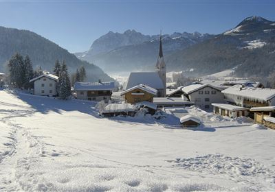 Christbaumversteigerung