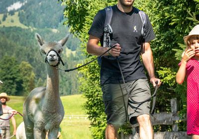 Creative summer workshop - Walk with llamas and alpacas