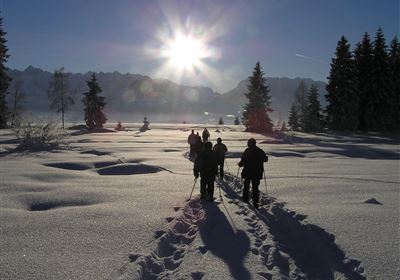 Dämmerungswanderung mit Schneeschuhen