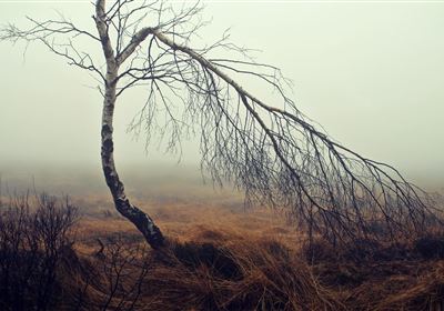 Creative summer workshop - "spook in the moor"