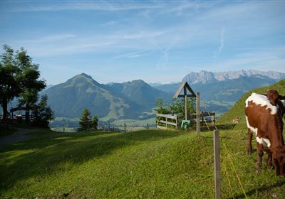 Brennkopf - guided hike