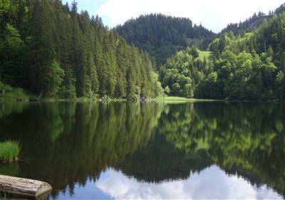 Mountain lake "Taubensee" - guided hike