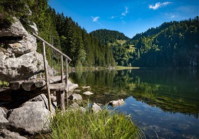 Niederhausertal "Lackalm" - guided hike