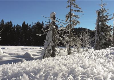 Kreative Winterwerkstätte "Schnee-/ Lawinenkunde und Orientierung"