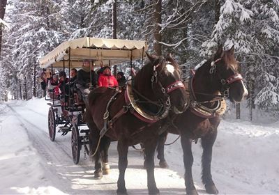 Carriage ride around the lake