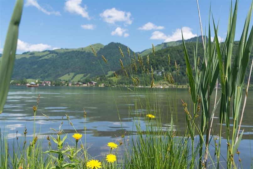 Fischen am Walchsee