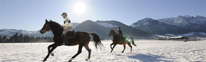 Hotel Seehof - Reitanlage