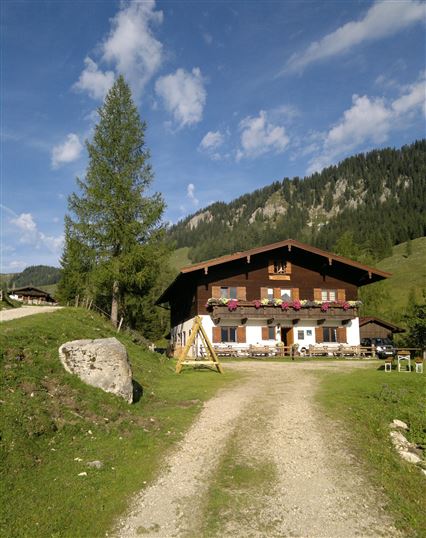 Kohlalm