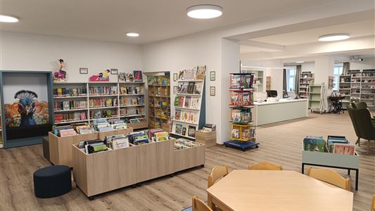 Rental-library Walchsee
