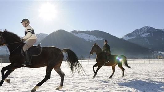 Hotel Seehof - Horseback riding facility