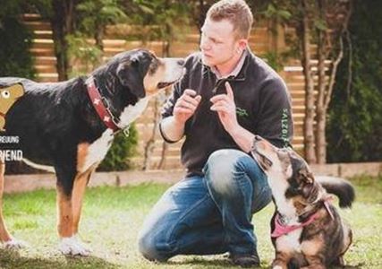 Hundebetreuung Best Friend