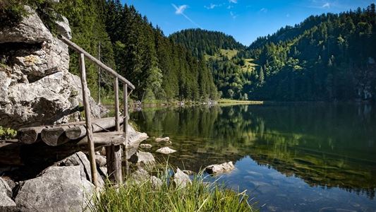 Taubensee