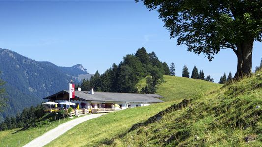 Wildbichl Alm