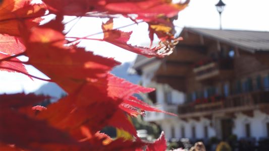 Kaiser Herbst