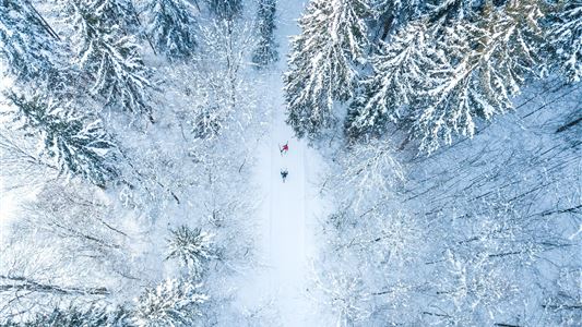 Kaiserwinkl cross country skiing and biathlon trial week 