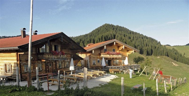 Two cozy chalets in the mountains, surrounded by green meadows and tall trees. The sky is blue and clear, ideal for a relaxing day in nature.