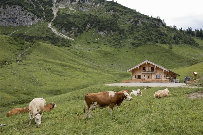 Feldalm Hütte