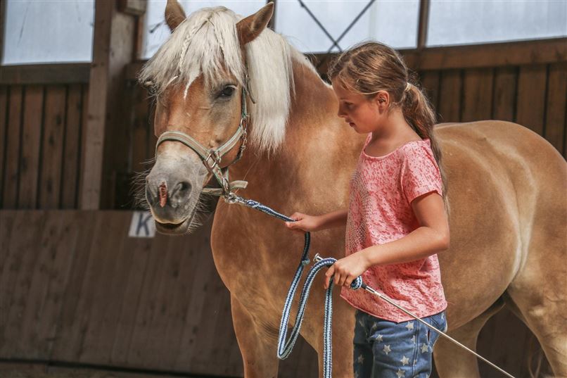 A girl is leading a horse in a riding arena. The horse has a light mane and the girl is holding the halter in her hand.