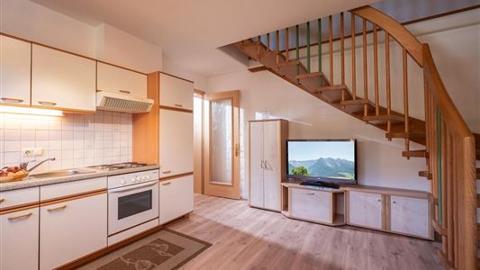apartment/1 bedroom/shower, WC