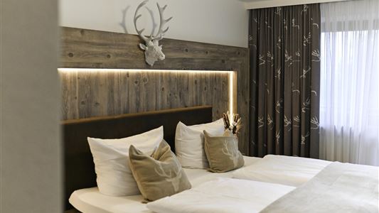 Double room, shower or bath, toilet