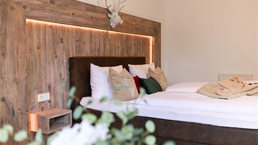 Double room, shower, toilet, 1 bed room