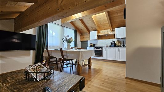 Apartment, shower, toilet, 2 bed rooms
