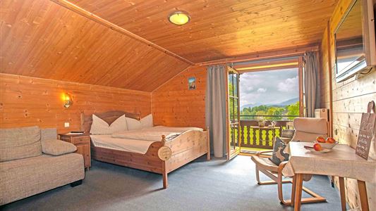 apartment/1 bedroom/shower, WC