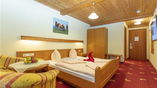 Double room "Haflinger" with pine wood ceiling and balcony