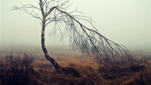Spuk im Moor - Mystische Nachtwanderung August