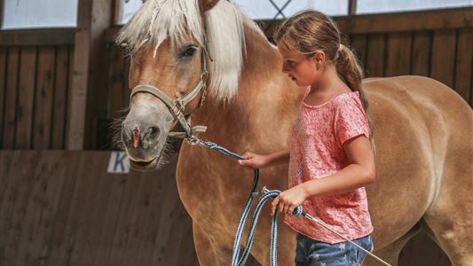 Ponyclub