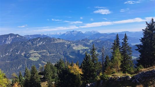 Geführte Wanderung Kössen zum Scheibenkogel