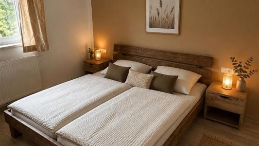 Apartment, shower, 1 bed room