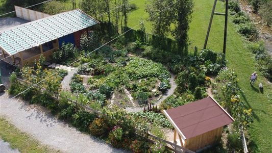 Spaziergang durch den Gemeinschaftsgarten in Walchsee